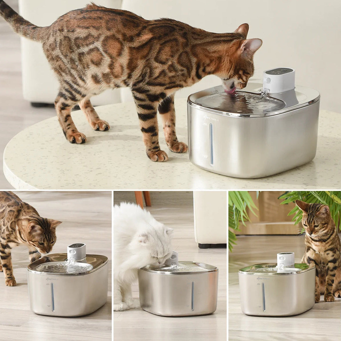 Fresh Flow Fountain - SmartAurox