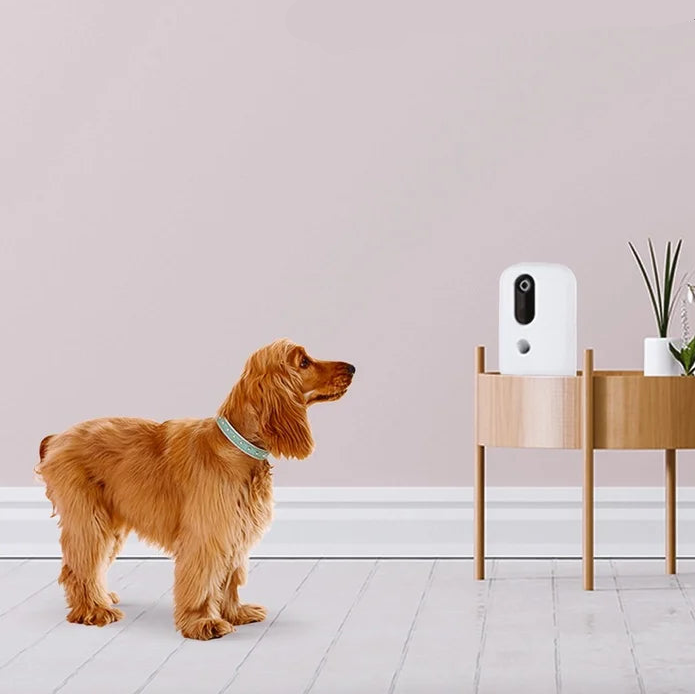 Pet Snack Dispenser - SmartAurox