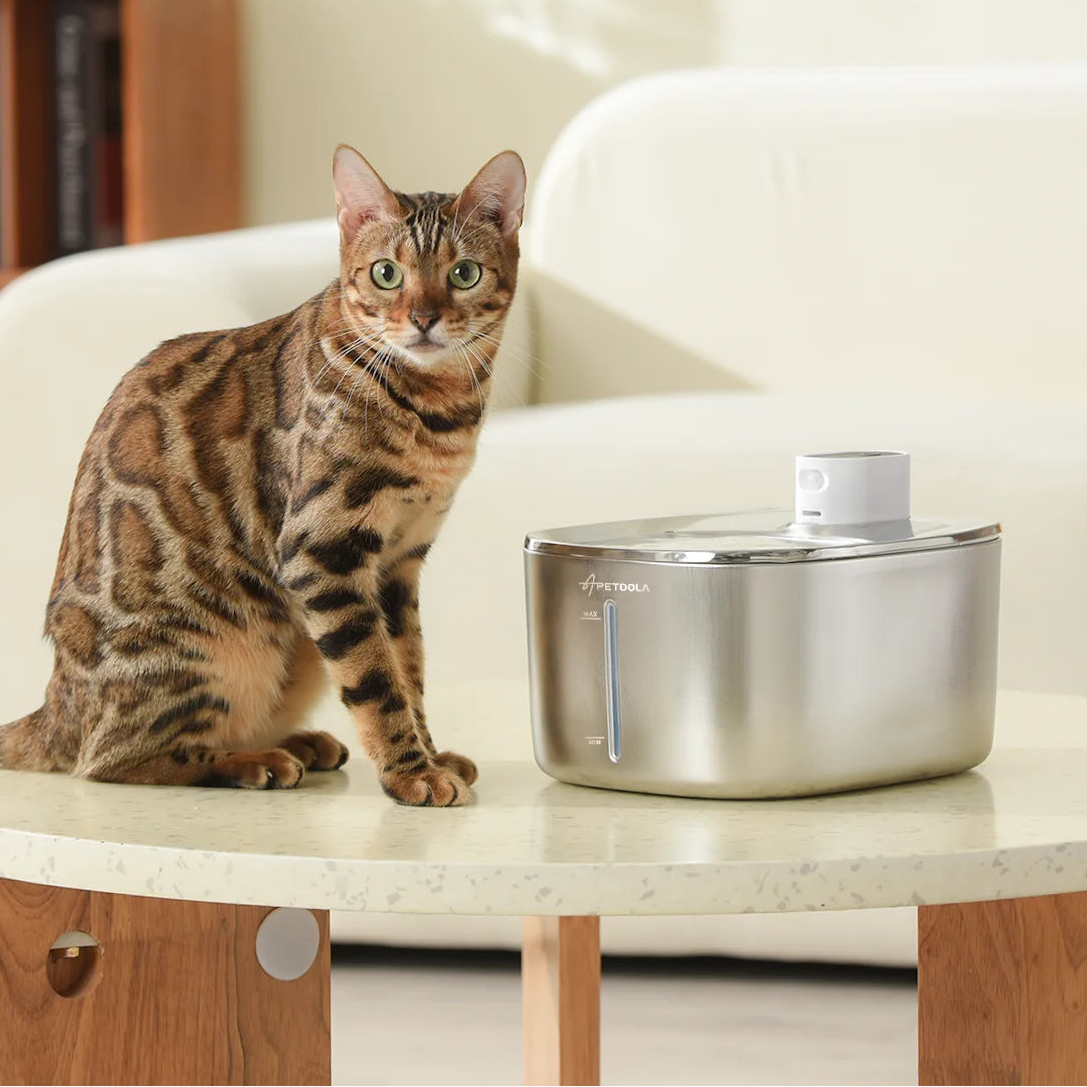 Fresh Flow Fountain - SmartAurox