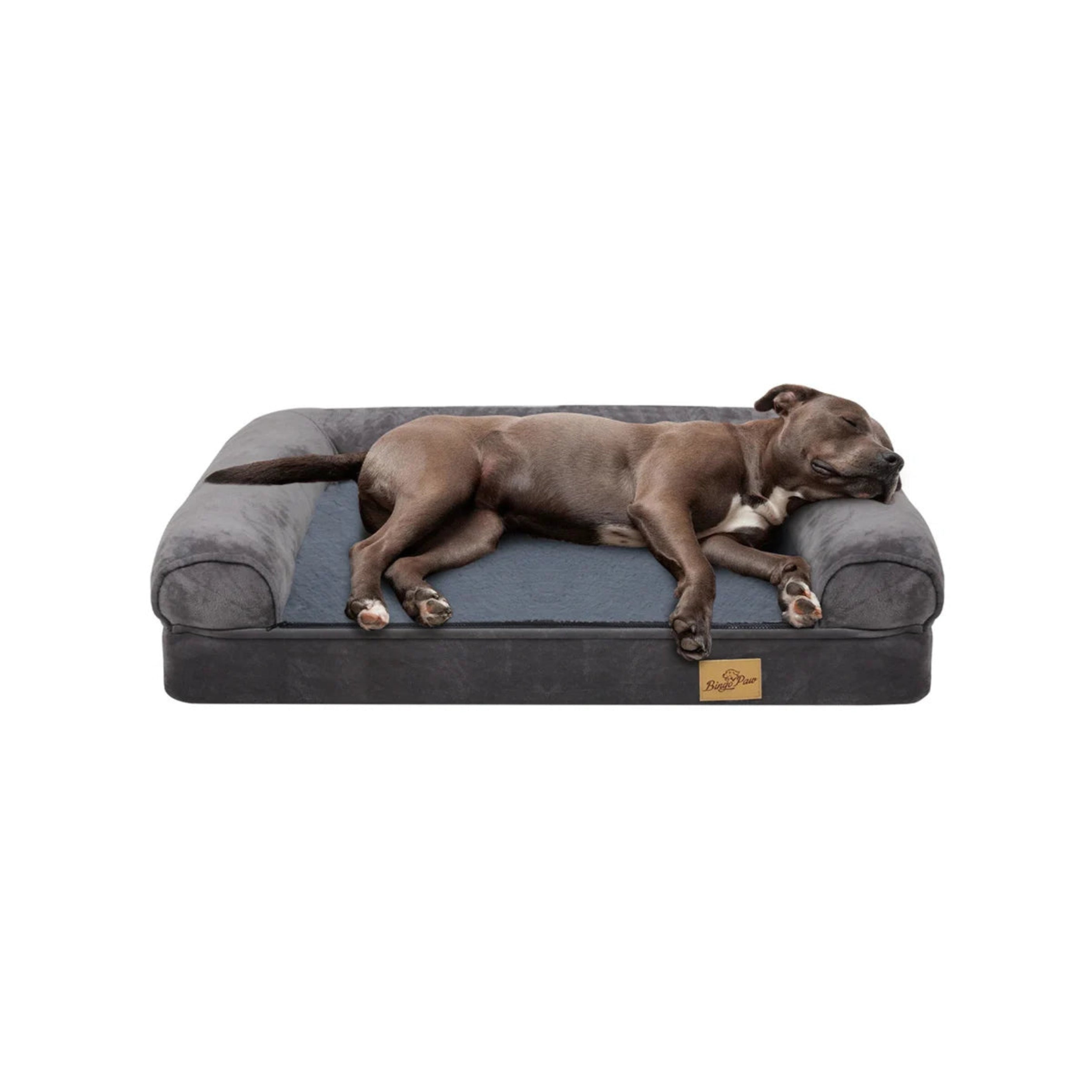 Deluxe Comfort Bed - SmartAurox